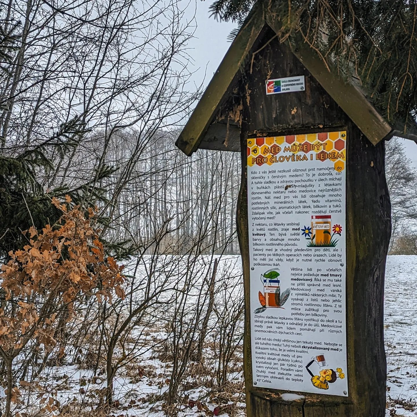 419919509_805649671573642_934687766592227457_n.jpg